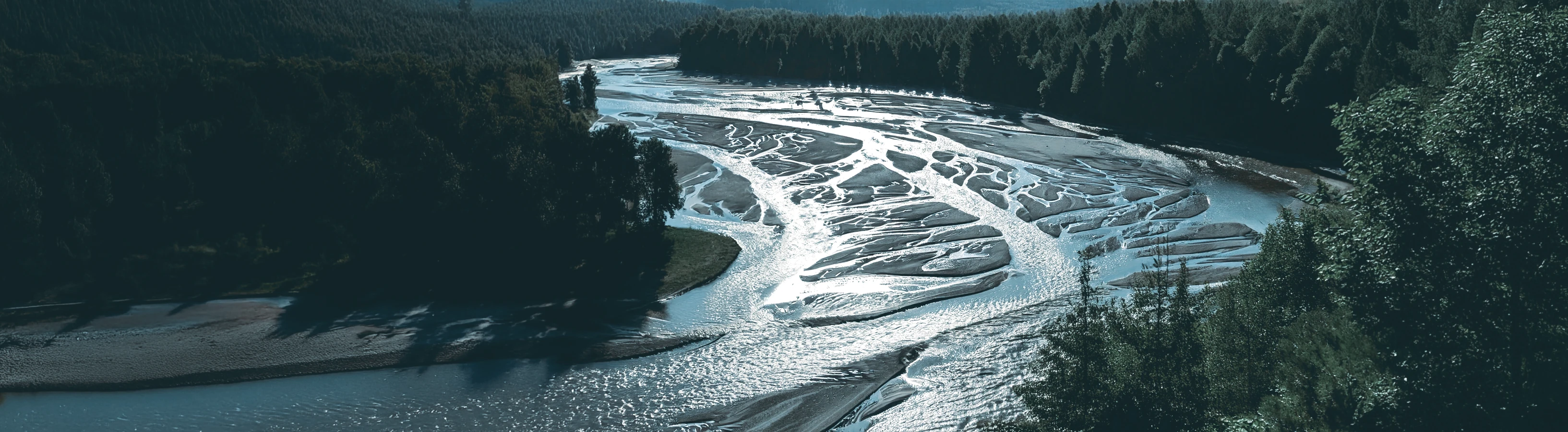 river delta with forest